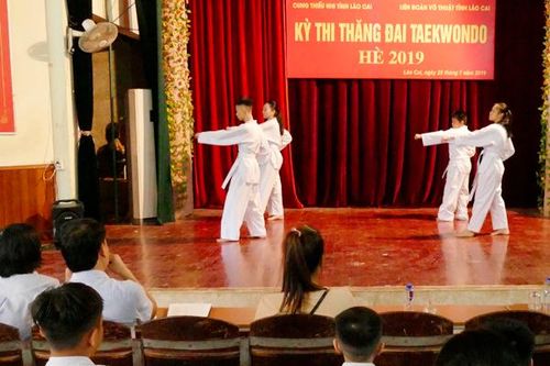34 học sinh tham dự kỳ thi thăng đai Taekwondo hè 2019