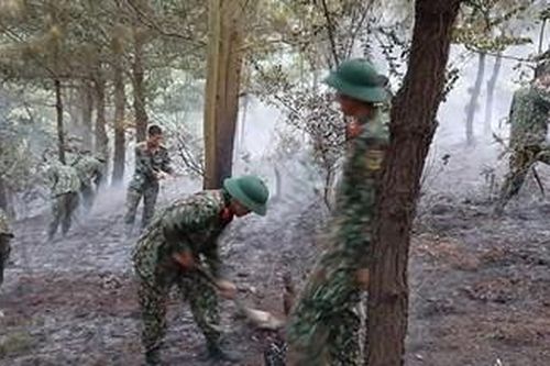Bộ đội giúp dân chữa cháy rừng ở Bắc Giang