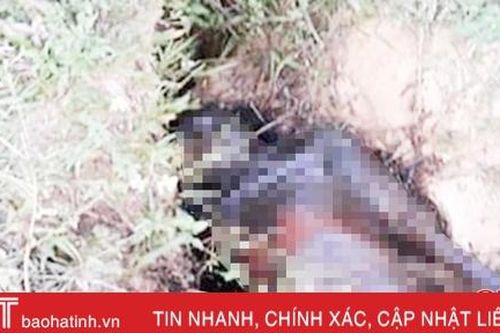 Phát hiện thi thể đàn ông đã phân hủy dưới mương nước ở Hương Khê
