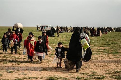Syria: 400.000 người phải lánh nạn do xung đột tại khu vực Tây Bắc