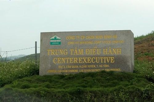 'Thông tin THACO tiếp quản dự án Chăn nuôi Bình Hà là không chính xác'