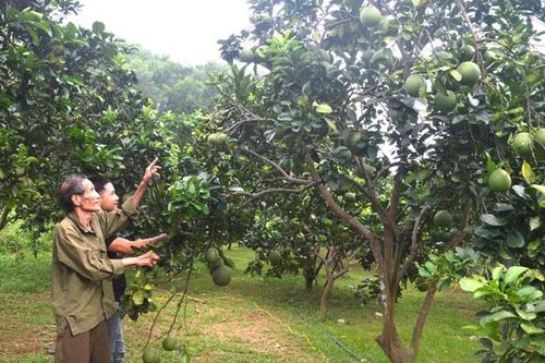 Yên Sơn chăm lo gia đình chính sách, người có công