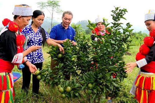 Thực hiện đầy đủ chính sách hỗ trợ di dân tái định cư theo đúng quy định