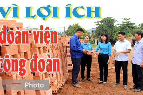 Vì lợi ích đoàn viên Công đoànNgăn chặn dịch sâu keo mùa thu hại cây trồngNgày hội hiến máu 'Giọt hồng xứ Tuyên'Chúng tôi làm báoKhách du lịch đến hồ sinh thái Na Hang tăngSôi động phong trào thi đua lao động, sản xuấtThân thương Trường Sa