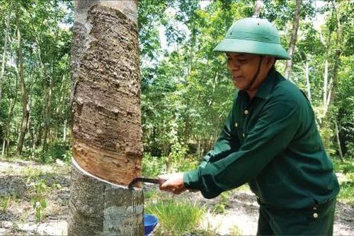 Đời sống Đời sống Xông pha thời chiến, cống hiến thời bình