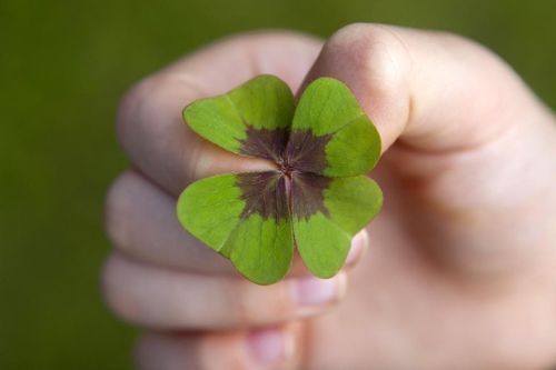 Tử vi ngày 28/7/2019: Tuổi Mùi hung vận lấn át, tuổi Tuất may mắn hơn người