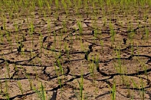 Lý giải tình hình hạn hán nghiêm trọng đang xảy ra tại khu vực miền Trung