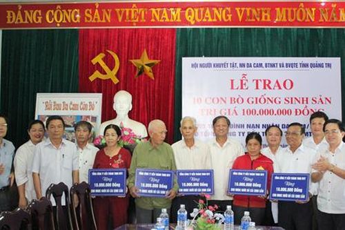 Trao bò giống sinh sản cho 10 gia đình nạn nhân da cam/dioxin