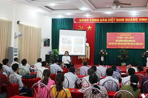 Tập huấn bồi dưỡng nguồn nhân lực cho các HTX