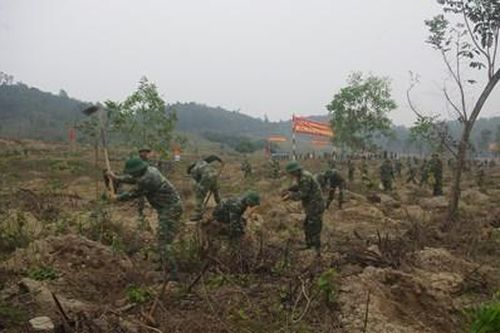 Lữ đoàn 202 thực hiện tốt nhiệm vụ bảo vệ môi trường