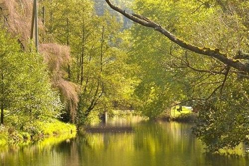 Du lịch Rừng Đen tìm về quê hương đồng hồ Cúc cu