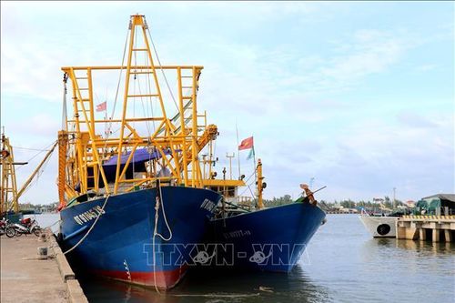 Bất cập triển khai Nghị định 67: Nhiều tàu cá hàng chục tỷ đồng 'nằm bờ'