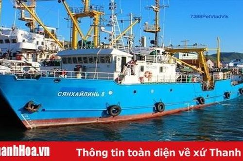 Triều Tiên thả hai ngư dân Hàn Quốc sau 11 ngày giam giữ