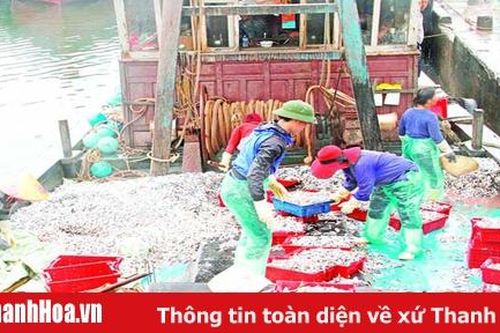 Thực hiện ghi nhật ký khai thác truy xuất nguồn gốc hải sản còn nhiều khó khăn