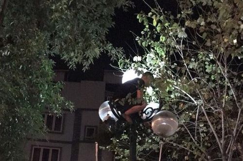 Giải cứu nam thanh niên ngáo đá leo lên cột đèn
