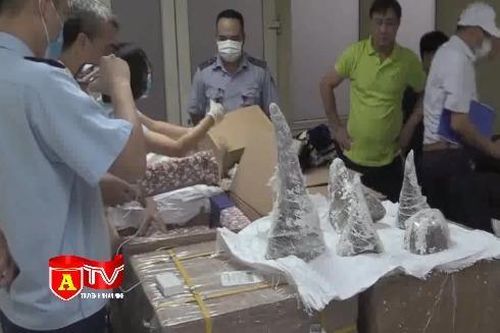 Cận cảnh 55 khúc sừng tê giác bị phát hiện trong khối thạch cao tại sân bay Nội Bài