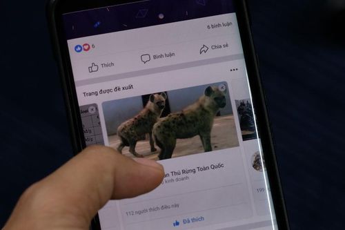 Facebook tiếp tay mua bán động vật quý ở Việt Nam