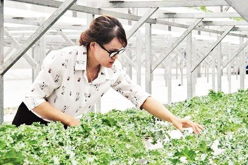 Phát triển ứng dụng nông nghiệp công nghệ cao