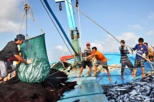 Cơ hội phát triển nghề cá bền vững, có trách nhiệm