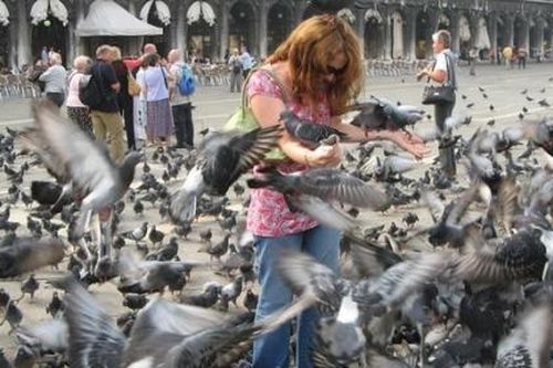 Du lịch Venice - Italy: Những cấm đoán lạ lùng