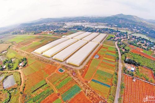'Rào cản' trong tập trung, tích tụ ruộng đất
