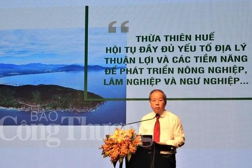 Thừa Thiên Huế: Phát triển nông nghiệp theo hướng bền vững, văn hóa và đặc sắc