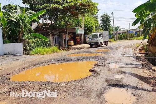 Ổ gà, ổ voi dày đặc