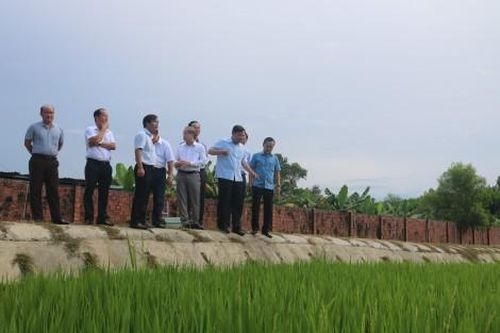 Kinh tế Nông nghiệp - Nông thôn Cần đánh giá tiềm năng thế mạnh để xây dựng mỗi xã phường một sản phẩm