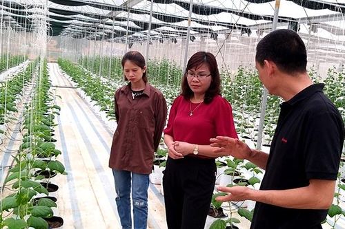 Bắc Cạn đẩy mạnh ứng dụng khoa học - công nghệ trong nông nghiệp
