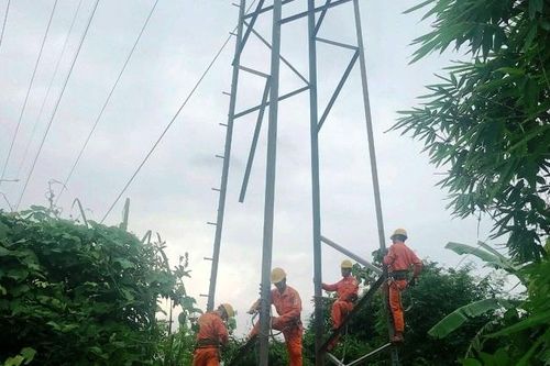 Đường dây 110KV Quảng Trị bị trộm nhiều thanh giằng thép