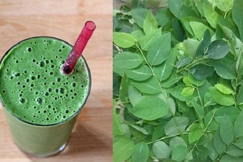 Sự thật ăn rau ngót khi mang bầu gây sảy thai