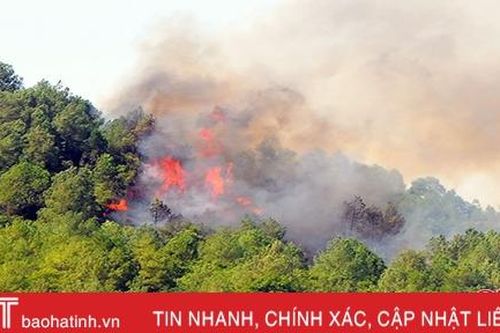 5 năm Hà Tĩnh xảy ra 84 vụ cháy, gây thiệt hại 305 ha rừng
