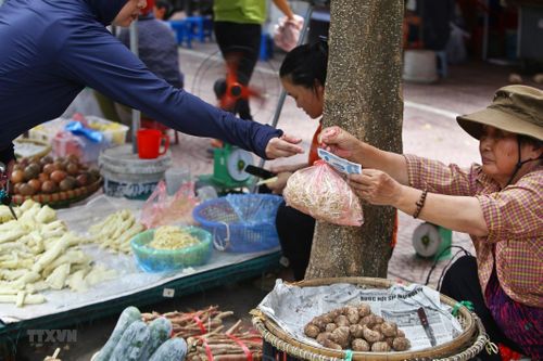 Làm thế nào để giải bài toán xử lý chất thải nhựa?