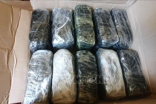 Bộ đội Biên phòng Lào Cai bắt giữ 2 đối tượng cùng 10kg ma túy đá