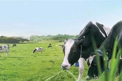 Vinamilk lãi 5.700 tỷ đồng sau nửa năm