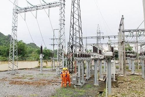Điện lực Sơn La: Tăng cường quản lý, đảm bảo an toàn hành lang lưới điện