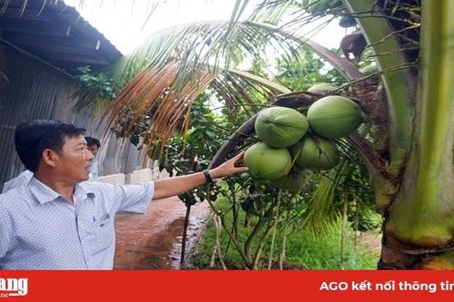 'Thay da, đổi thịt' vùng đất Long Hòa