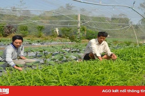 Nhiều mô hình sản xuất hiệu quả vùng biên giới