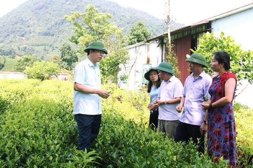 Kiểm tra mô hình sản xuất nông nghiệp tại Đại Từ