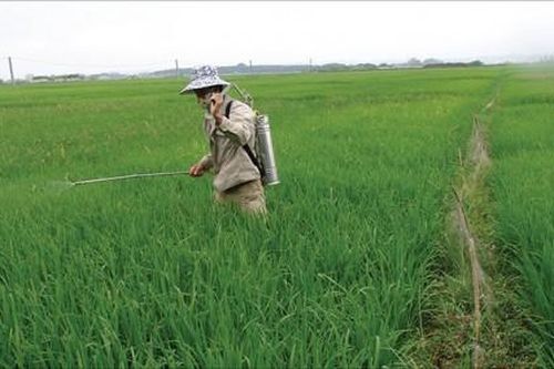 Kinh tế Nông nghiệp - Nông thôn Bất cập quản lý chất cấm trong nông nghiệp – kỳ 2: Quản lý, giám sát chưa 'đến nơi đến chốn'