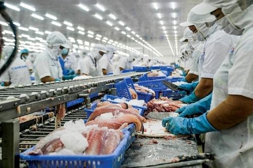 Kỳ vọng đột phá xuất khẩu vào EU