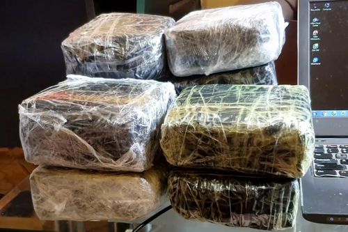 Phục kích bắt nhóm phóng xe Exciter vận chuyển 10 kg ma túy
