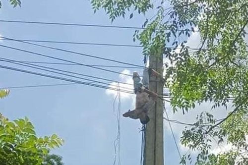 Kinh hãi phát hiện người đàn ông treo ngược lủng lẳng trên cột điện