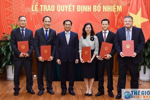 Thứ trưởng Thường trực Bộ Ngoại giao Bùi Thanh Sơn trao quyết định bổ nhiệm cán bộ
