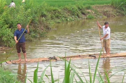 Lũ ống cuốn mất tích nữ công nhân đi làm ca đêm ở Lào Cai