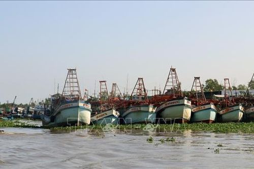Không đăng kiểm tàu cá đánh dấu sai quy định