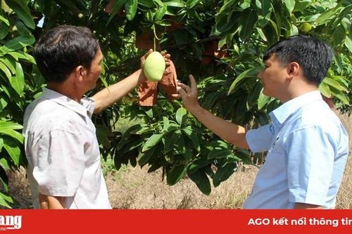 Hiệu quả từ sự chuyển đổi