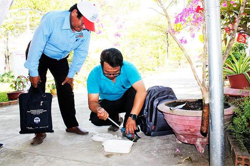 Không muỗi vằn, lăng quăng, không còn sốt xuất huyết