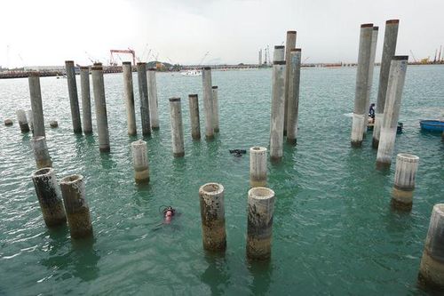 Khai quật tàu cổ ở Dung Quất: Hiện vật không còn nguyên vẹn