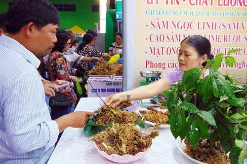 Lễ hội sâm Ngọc Linh, sự kiện văn hóa đặc sắc ở Quảng Nam